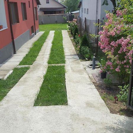Vila Alex Hotel Călimăneşti Kültér fotó