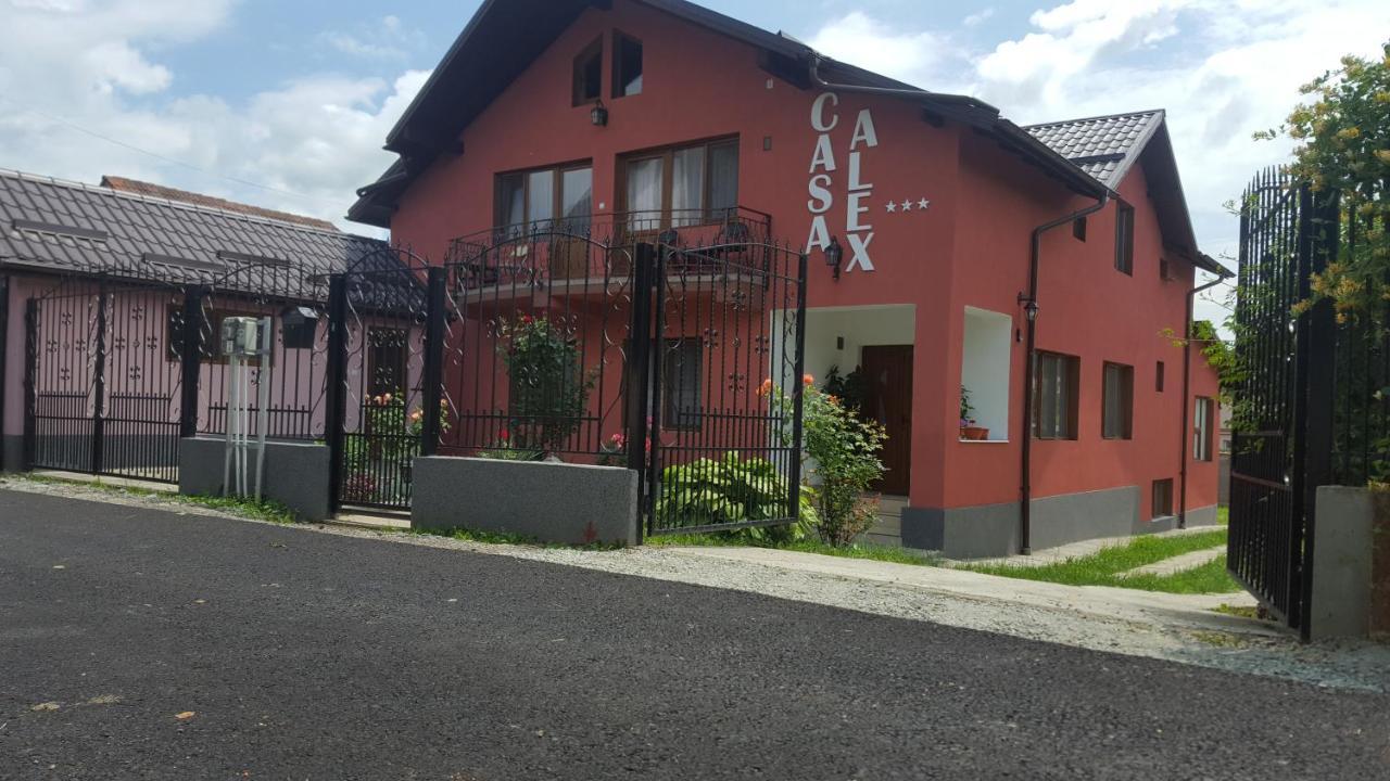 Vila Alex Hotel Călimăneşti Kültér fotó