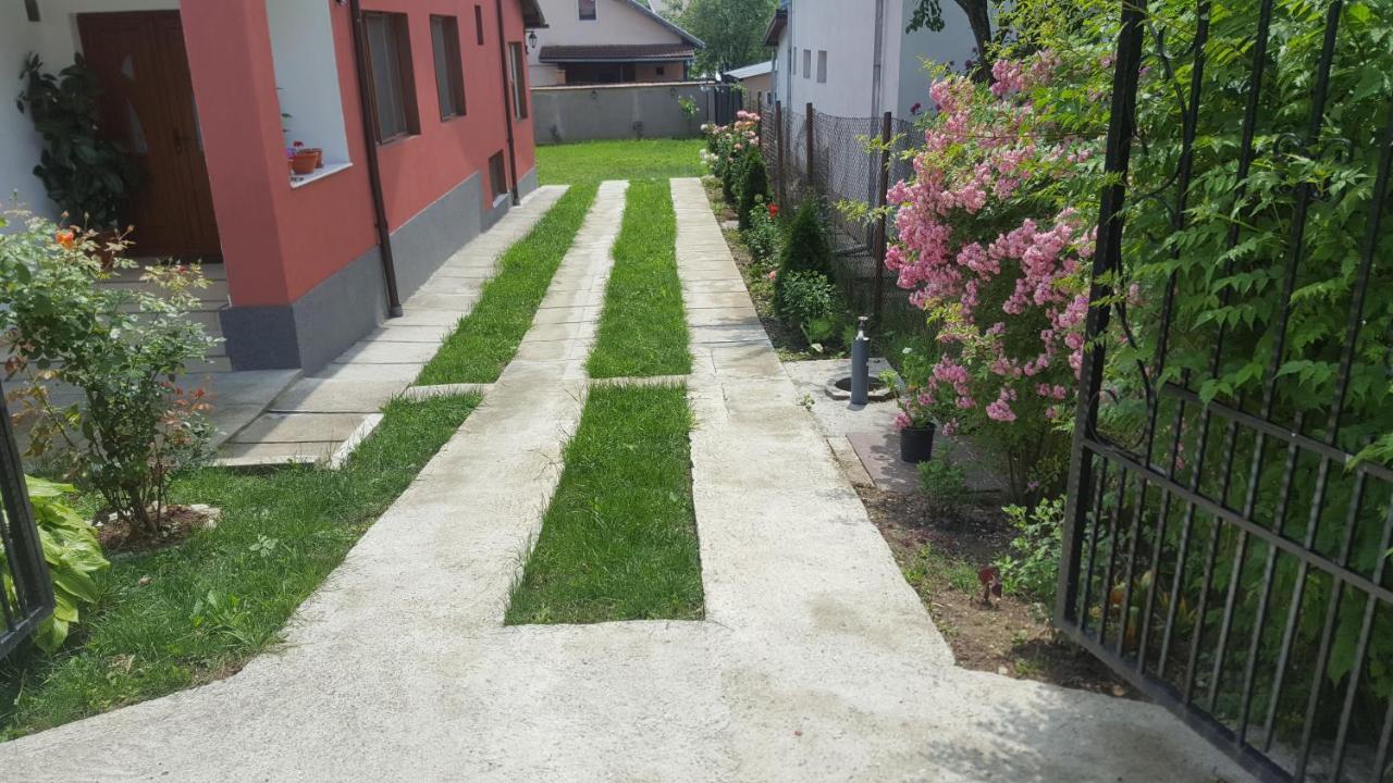 Vila Alex Hotel Călimăneşti Kültér fotó