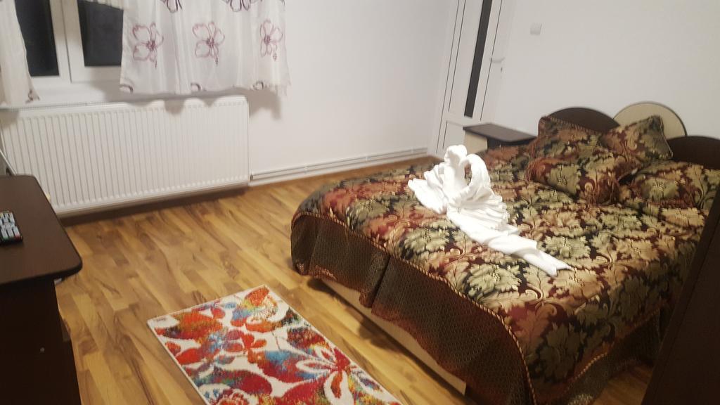 Vila Alex Hotel Călimăneşti Kültér fotó