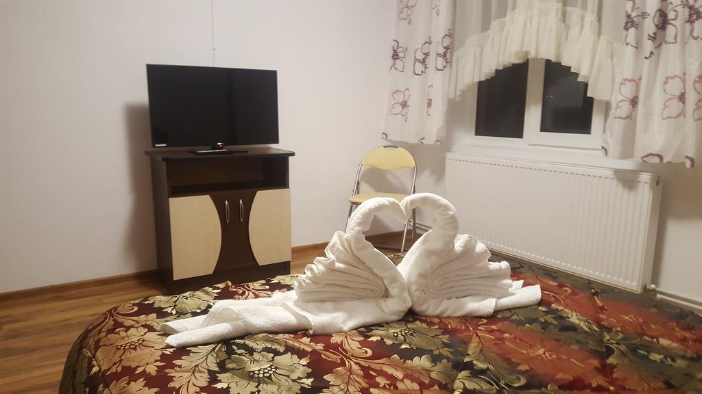 Vila Alex Hotel Călimăneşti Kültér fotó