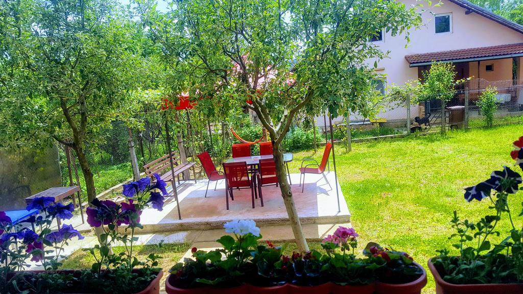 Vila Alex Hotel Călimăneşti Kültér fotó