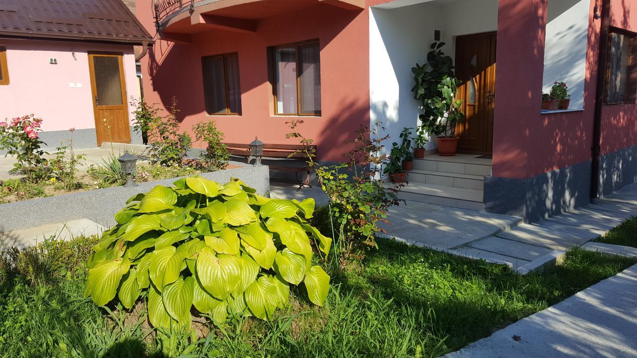 Vila Alex Hotel Călimăneşti Kültér fotó