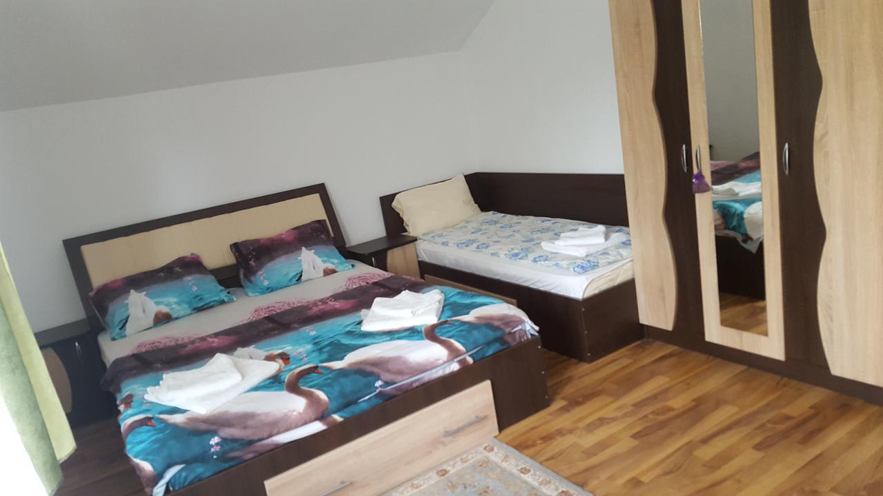 Vila Alex Hotel Călimăneşti Kültér fotó