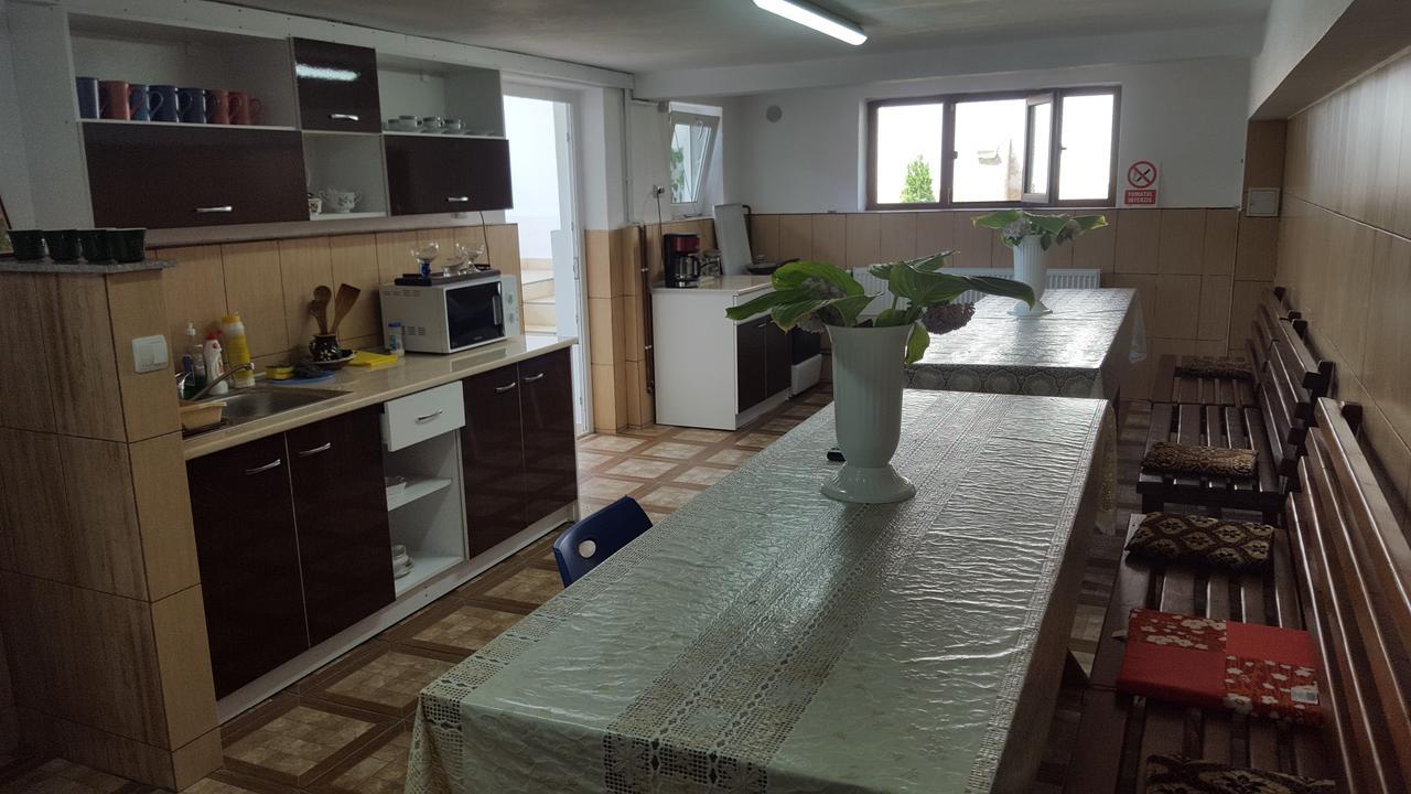 Vila Alex Hotel Călimăneşti Kültér fotó